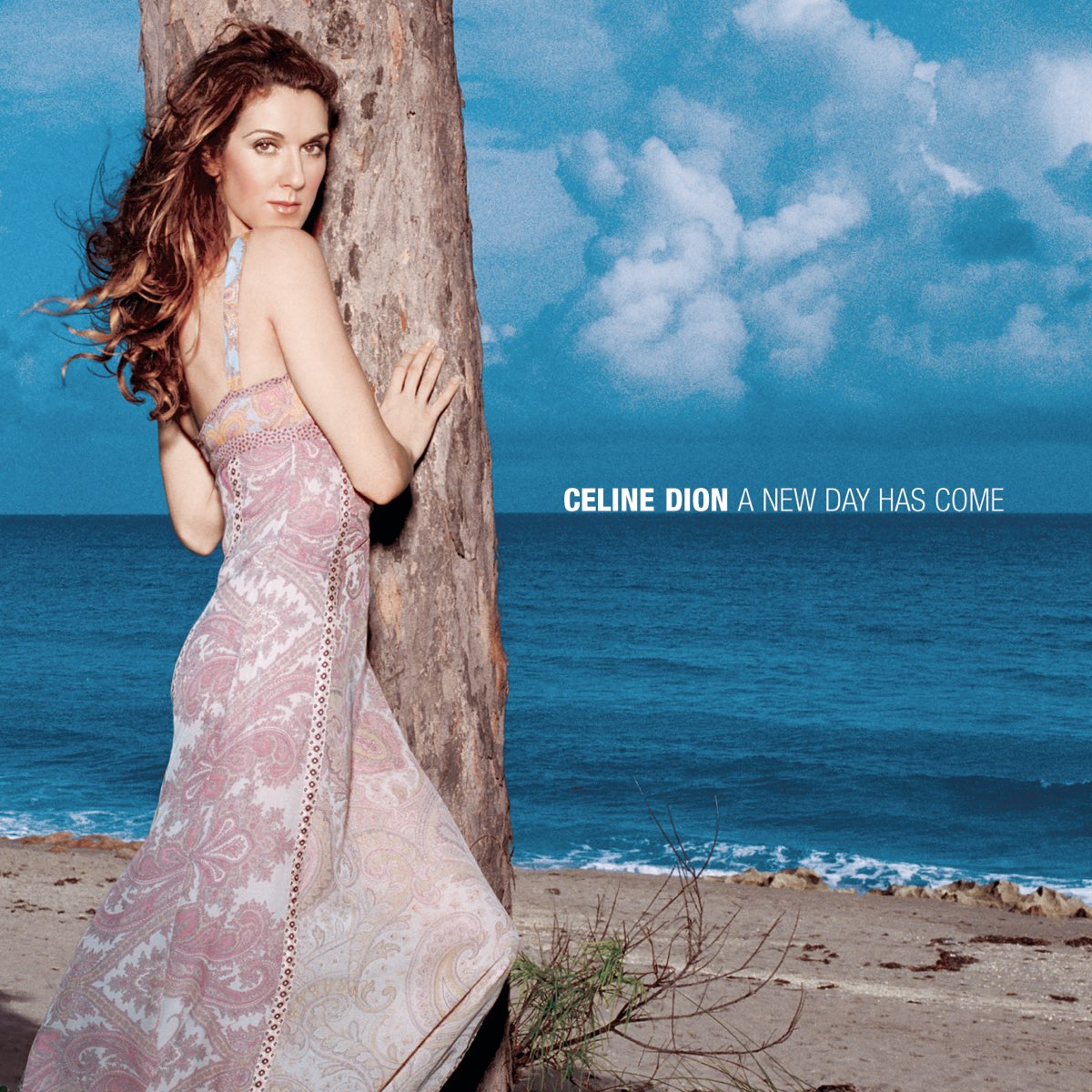 Mp3:  Celing Dion – A New Day Has Come